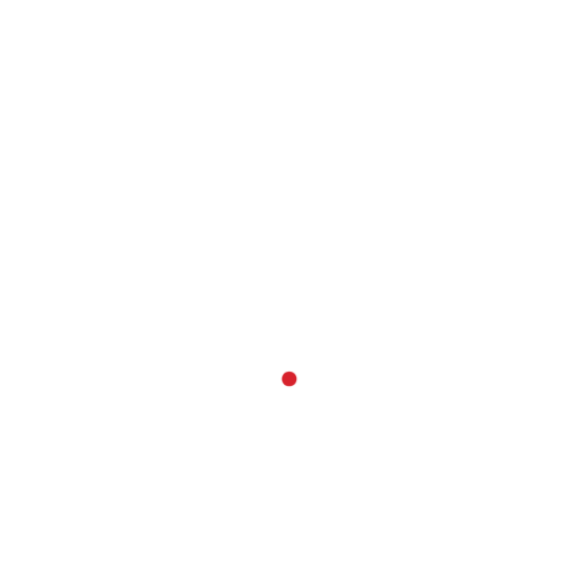 MG Customs